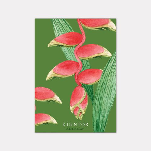 Kinntor Floral Card Pic 12