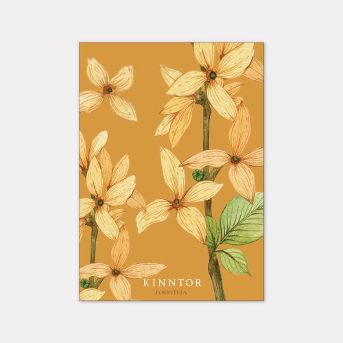 Kinntor Floral Card Pic 8