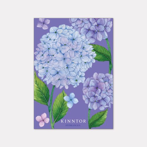 Kinntor Floral Card Pic 9